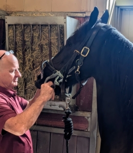 Next, Brian places what is called a McPherson full mouth speculum on Ulysses.