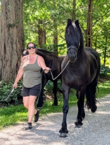After their dental appointments, Helen walks them to their pasture, where they are turned out to run and enjoy the mild summer weather. It’s always comforting to know the horses, my pony, and the donkeys are well-cared for, happy and healthy here at my farm.
