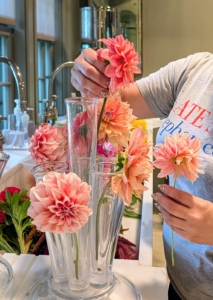 Dahlias produce an abundance of blooms throughout early summer and again in late summer until the first freeze. I am able to enjoy many dahlia arrangements during the season.