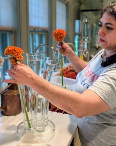 Enma starts with some dahlias. She picked various shades of pink for an arrangement in this five finger vase. Size up the stems next to the vase being used, so they can be cut appropriately.