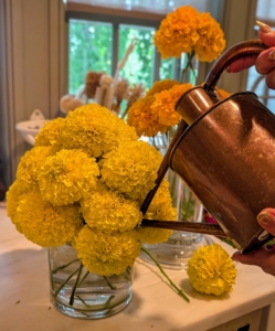 Here she is adding water to the vase - she chose a wide mouth cylindrical vase that could accommodate a large number of yellow flowers.