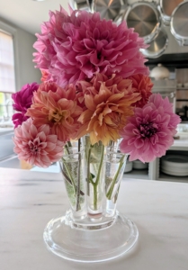 The colorful dahlias are on my kitchen counter, the hub of my home, where I often have meetings – everyone admires them as soon as they see them.