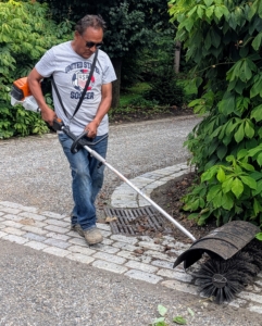 Pete also used it along the cobblestones near the carriage road of my linden tree allée.