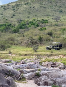Ryan's group was small - just enough to fill the jeep. They had a knowledgeable guide and a spotter who would sit in the back on "lookout."
