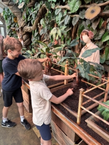 Recognize this greenhouse from the 2nd Harry Potter film? We loved the greenhouse and thought my Aunt Martha would, too.