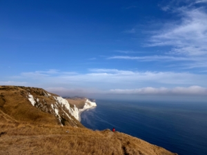 The cliffs of White Nothe are made of chalk, which is a type of limestone.