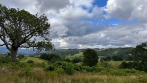 Beatrix Potter's Peter Rabbit was inspired by her time in the Lake District. We took public footpaths through many beautiful sheep pastures.