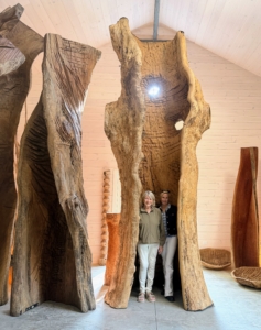 I visited the exhibit of the late Emilie Benes Brzezinski in a new personal museum. Emilie is the mother of talk show host, Mika Brzezinski Scarborough. Emilie is best known for her towering sculptures of twisted chainsaw carved tree trunks. Here i am with Mika inside one of these beautiful creations.