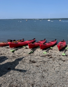 On this day, my grandchildren and their friends enjoyed a guided sea kayak tour to the Bar Harbor Oyster Farm. Here are the kayaks ready to go out. The experience was made possible through an auction hosted by Friends of Acadia Annual Benefit and hosted by The Bar Harbor Oyster Company.