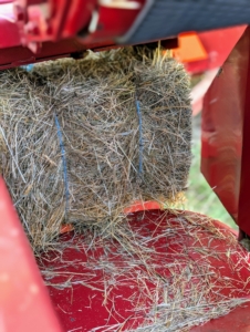 Once it is tied, it moves up this conveyor belt…