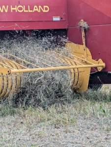 The baler picks up windrowed hay using a rotating pickup reel designed to lift the crop cleanly from the ground and feed it into the baling chamber.