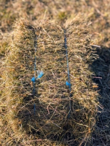 The bales are manageable for one person to handle, about 45 to 60 pounds each. The crew must work quickly with someone always on the lookout for the next shooting bale.