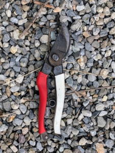 Pasang uses his Okatsune hand pruners. Pruning shears, hand pruners, or secateurs are a type of scissor used on plants. They are strong enough to prune hard branches of trees and shrubs, sometimes up to an inch thick. Everyone on the crew has a pair.