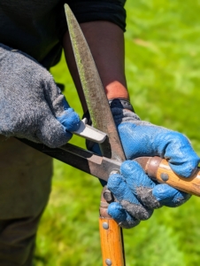 He also removes any debris that may have gotten stuck on the blades. Doing this is important to ensure the cuts are clean.
