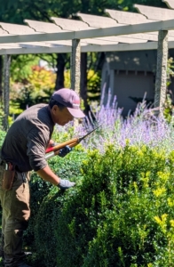 Every so often, Phurba stops to assess his work. I instructed him to shape the shrubs as round as possible.