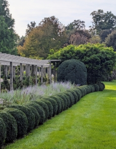 By late afternoon, it's all done. The entire border is just so beautiful – in spring when it blooms with gorgeous purple and blue; in summer when it features all the bright orange lilies; and, in autumn, with all its bold greenery.