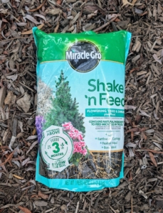 I use Miracle-Gro Shake’n Feed Flowering Trees & Shrubs plant food which has done so well for my plants. It contains natural ingredients such as kelp, earthworm castings, bone meal, and feather meal, which will feed the plant and maintain its deep, lush green foliage throughout the season.