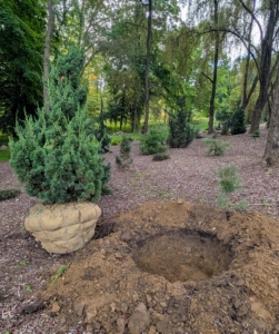 Each specimen is placed by its designated hole.