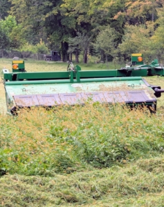 The hay goes through the machine and processes the hay one wide strip at a time.