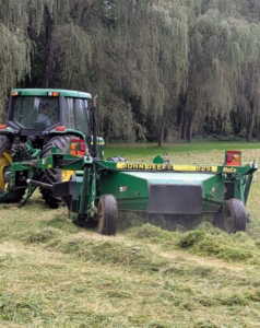 On cutting day, Chhiring goes around the fields counter clockwise cutting all the hay. The process of cutting should take about an hour per field. I have three large fields.