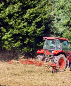 This part of the process allows air circulation for drying and is crucial for conditioning the hay so it is ready for harvest. Chhiring and Jimmy like to fluff each field at least twice.