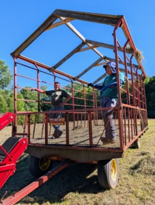 Ready? In my next blog - what it takes to bale, stack, and store my hay!