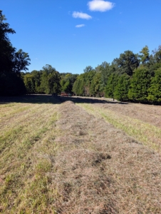 Second Cut of Hay 2026, Part II Second Cut of Hay 2026, Part II