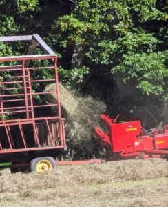Here is a bale of hay as it is lifted in the baler’s reel, moved, and finally propelled into the wagon by a mechanical arm called a thrower or a kicker.