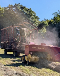 Here's a view from the front. The crew is ready to kick the bale to stop, so it can be picked up and stacked.