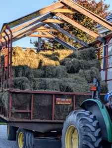 Once a wagon is full enough to unload, it is brought to my stable hayloft.