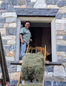 As bales ride up, Pete stands by to accept them.