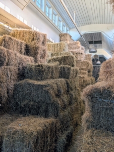 These bales will stay here until needed. With a full stable, this does not take long. It makes me so happy to know I can grow good, nutritious hay for my horses right here at my farm.