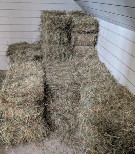 Neat, tight stacks of hay are made in the loft - there are a lot of bales to store here.
