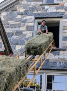 One by one, Pete pulls the bale off the elevator and passes it to someone else for stacking.