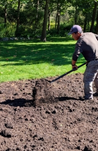 Phurba uses a garden pitchfork to lift and drop the compost across the garden.