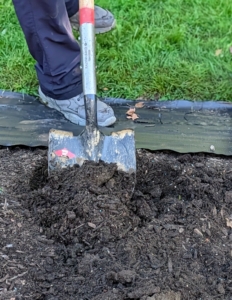 All the holes are dug first and then rechecked for proper positioning. When planting, make sure the hole is slightly wider but equal in depth to the rose’s root ball. This will generally be about 15 to 18 inches deep by 18 to 24 inches wide.