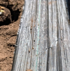 Industrial weed cloth is placed around the perimeter of the bed to keep pesky weeds from growing. I like to use strong landscape staples in the center and edges to keep it in place.