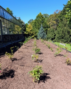 And by day's end, the garden is planted. A layer of good, nutrient-rich compost will top dress these plants next. Plan a new garden properly using the best soil, food, and lighting needs to give young plants the best start possible. This garden will grow beautifully.
