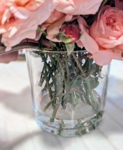 And invest in a good watering can for the flowers – one that allows for controlled use without damaging any of the fragile petals.