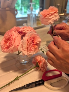 Size up the stems next to the vase being used, so they can be cut appropriately.