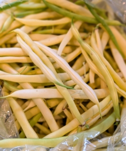 I grow classic green beans, purple, and yellow beans. Yellow beans lack chlorophyll and will keep their color when cooked.