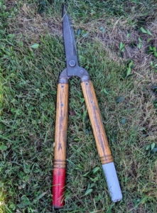 This task is done carefully with two main tools. These are Okatsune 30-inch long Hedge Shears. Okatsune shears are light and precise, and come in a range of sizes.