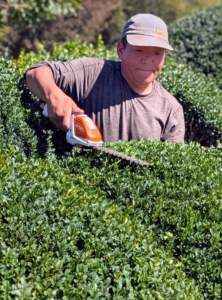 The STIHL HSA 26 is also great to use in noise sensitive areas.