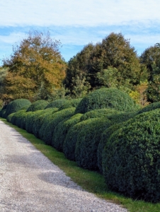 Here is one long side just after Phurba finished grooming the shrubs - so well done.
