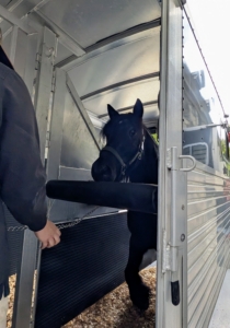 Here is Ban Chunch from the front. He is kept inside for just a few moments and then backed out of the space the same way he entered.