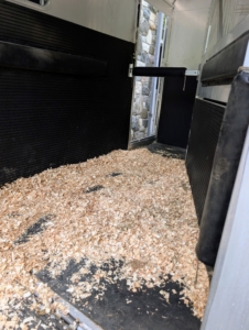 Shavings are spread on the floor for good footing.