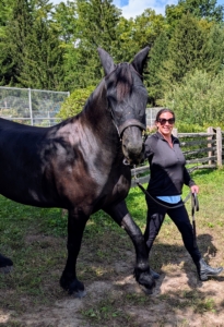 Turning horses out every day is essential to good, responsible horse ownership. Horses need ample time to move freely in a pasture, paddock, or other outdoor enclosure to support physical health, digestive functions, mental well-being, and natural behaviors. My horses love to be outdoors in any kind of weather.
