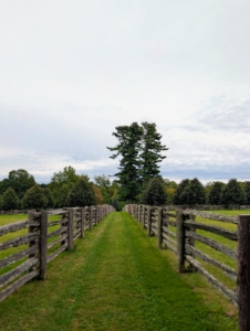 Flooding and high winds can cause damage to any property, so it’s always good, and smart, to be well-prepared for any inclement weather. Here is the path between two of my horse pastures with the great eastern white pines in the distance.