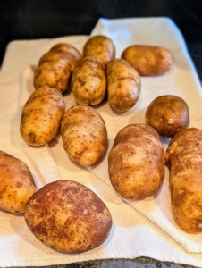I harvested so many beautiful potatoes from the garden this year. These are washed and prepped for baking.