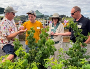 At the breeder showcase, Ryan sampled new varieties of berries for 2028! Here, he tried the sweetest, most golden raspberries, which are thornless. Ryan is with breeder, Robert Bett from Plant Haven, Katie, and Monrovia CEO, Jonathan Pedersen.